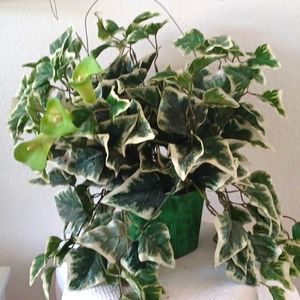 Artificial Plant in metal Container